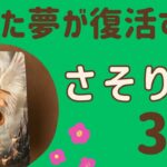 【蠍座】３月♏️すごい‼️夢や願いが復活する❗️もう我慢しない✨自分らしさを取り戻す‼️