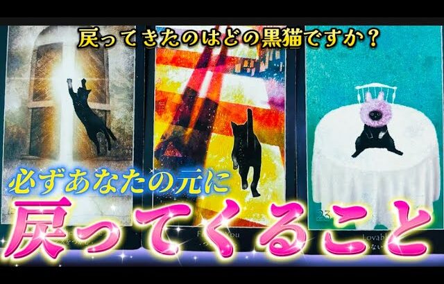 【必ずまたあなたの元に❤️】戻ってくることは何？いつ頃戻る？水面下で動いてる事　復縁　復活　個人鑑定級✨タロット占い