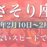 【さそり座】週間リーディング（2025年2月10日〜2月16日）実感が増えて行く、何故か形になる不思議