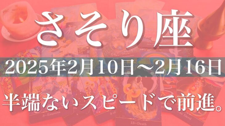 【さそり座】週間リーディング（2025年2月10日〜2月16日）実感が増えて行く、何故か形になる不思議