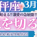 【天秤座】鳥肌やばい！人生大逆転！！見逃し注意♥️【仕事運/対人運/家庭運/恋愛運/全体運】3月運勢  タロット占い