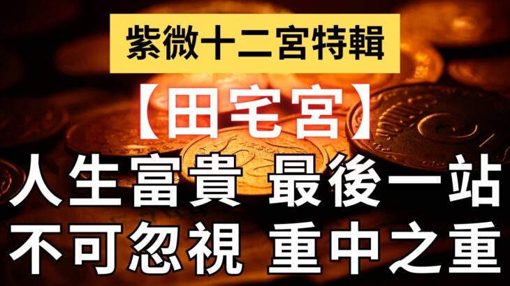 紫微十二宮之【田宅宮】你人生富貴不可忽視的終點站！麥可大叔30年紫微斗數算命命理老師