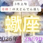 【3月上旬奇跡❗️の大どんでん返し】蠍座　2025年タロット占い✨とてつもない連絡#タロット#タロットカード#占い#運勢#3月#蠍座