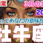 【R50指定】牡牛座　3月の恋愛運　心が華やぐ体験が、あなたを素敵な恋愛へと導く！　50代以上　2025年3月