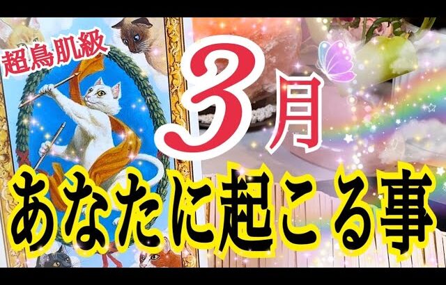 【超鳥肌級🕊️】3月あなたに起こる事🌸いよいよ始まる新しい流れ🔮⚡️個人鑑定級タロット占い💓