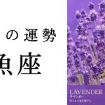 【魚座🌞3月の運勢】待ちわびた最強月間❤️‍🔥願望成就の素晴らしい流れ✨2025年タロット占い