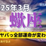 【３月の運気】蠍座♏️宇宙のサポート入ります✨見た事ない運命車輪🛞の連鎖😱精神性の繋がりが豊かさを生む‼️