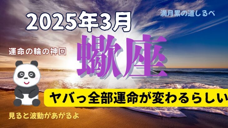 【３月の運気】蠍座♏️宇宙のサポート入ります✨見た事ない運命車輪🛞の連鎖😱精神性の繋がりが豊かさを生む‼️