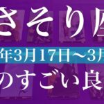 【さそり座】1週間の運勢（2025年3月17日〜3月23日）♏️希望に満ち溢れる！！受け取るものが多いかも！終幕と始動、これからのこと