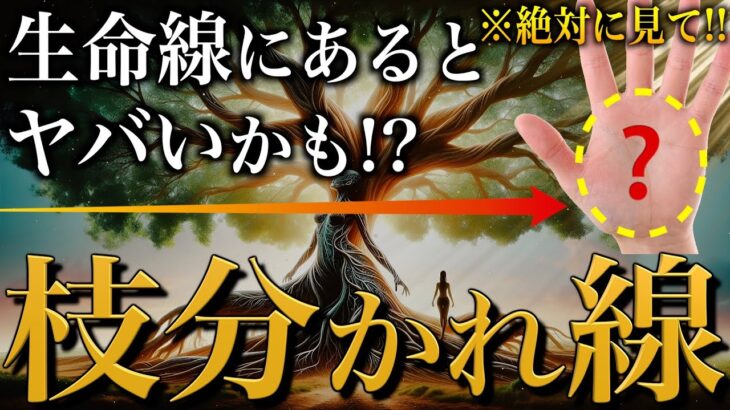 【手相占い】絶対確認！枝分かれした生命線の意味12選 #手相 #占い