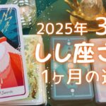 しし座さん♌️2025年3月の運勢タロットリーディング✨【お久しぶりです！】