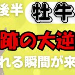 【牡牛座】♉️ 3月後半の運勢🔥 ついに報われる時が来た！成功と幸運が一気に加速する✨ 驚きの展開が待つ🌟 #おうし座 #タロット #タロットリーディング