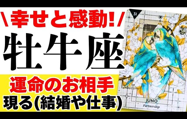 【おうし座3月下旬〜4月】好きな願いを叶えるとき☺️✨『衝撃的な出逢い』もありそうです🩷｜なぜかよく当たる??きっと役に立つ 詳細 綿密タロットリーディング【牡牛座♉️占い】