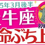 【牡牛座】2025年3月後半のおうし座「運命⌛ぶち上げ⤴️」