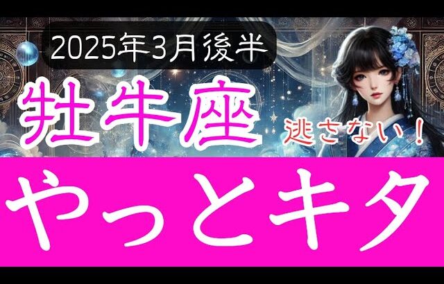 【おうし座♉️2025年3月後半】ついに花開く時！牡牛座の運勢