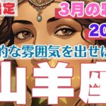 【R50指定】山羊座　3月の恋愛運　ダメンズに注意　自分から積極的に誘うが吉　彼と険悪なムードの時にすると良いこと　50代以上　2025年