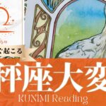 天秤座♎心身の健康が回復する大変化🕊️もうすぐ起こる嬉しい大変化🕊️どんな大変化？🕊️いつ頃？🌝月星座てんびん座さんも🌟タロットルノルマンオラクルカード