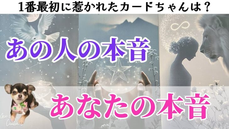 【本当は◯◯な2人😳💓】お互いの本音を徹底リーディング❣️