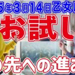 2025年3月14日【乙女座満月】お試し！その先の進み方