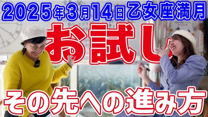 2025年3月14日【乙女座満月】お試し！その先の進み方