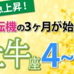 【牡牛座4~6月運勢】あなたの金運が大好転！人生が変わる予感⚡️仕事運、恋愛運、金運、全体運