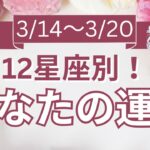 【今週の運勢は？】3/14～3/20 12星座 運勢鑑定付！【開運占い師と振り返る1週間】最近あった良いこと、嬉しいこと教えて～！