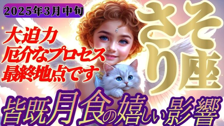 【蠍座♏3月中旬】まるで誕生日みたいな運気！！厄介なプロセスは最終地点ですね【皆既月食の影響】✡️キャラ別鑑定付き✡️