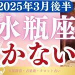 【水瓶座】2025年3月後半みずがめ座の運勢「行かないで」タロットと占星術で鑑定