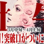 【おうし座3月中旬〜4月上旬】急展開｜「突破口」がついに見える！【癒しの眠れる占い】