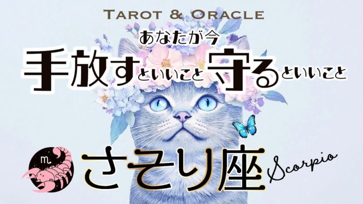 【さそり座♏️見た時がタイミング】準備完了🌷ついに時代が到来です✨手放すといいこと＆守るといいこと