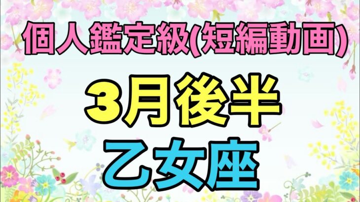 乙女座でた〜！大大大大大吉運‼️運気が一気に急上昇するよ！超細密✨怖いほど当たるかも知れない😇#タロットリーディング#乙女座