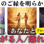 今年あなたがお迎えするご縁・手放すご縁をお伝えします【当たるタロット】