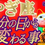 【山羊座♑️3月後半】春分の日からの嬉しい変化💐シンクロ率激アップ👑幸運の連鎖がとまらな〜い　✡️キャラ別鑑定付き✡️