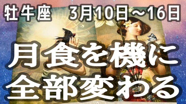 【推し活運も】牡牛座さん♉️2025年3月10日〜16日の運勢