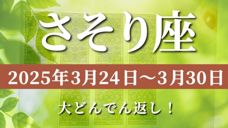 【 さそり座 ♏ 】週間リーディング( 2025年 3月24日の週)大どんでん返し！奇跡の展開が運命を激変させる✨🔑 蠍座 タロット占い