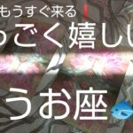 うお座♓️【すっごく嬉しい事🌈】最大の豊かさと利益❗️過去からの掘り出し物🎁✨#占い #スピリチュアル #金運#人生相談 #オラクルカード #カードリーディング #個人鑑定級#タロット #うお座#魚座