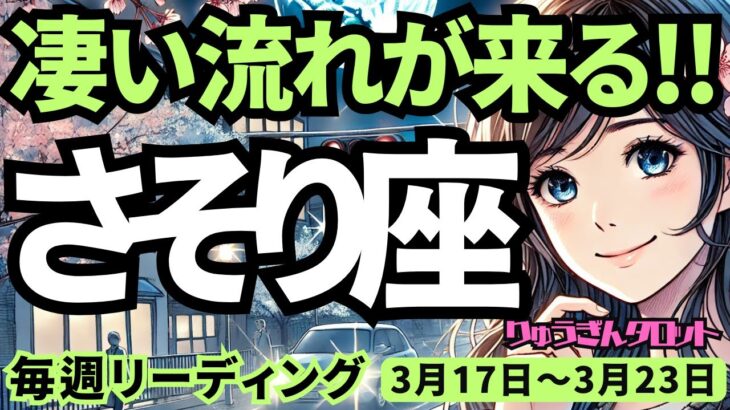 【蠍座】♏️2025年3月17日の週♏️凄い流れが来る。とても自然で、大きな可能性のある道へ。タロット占い