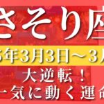 【 さそり座 ♏ 】週間リーディング( 2025年 3月3日の週)大逆転！一気に動く運命✨ 蠍座 タロット占い