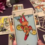 【タロット占い】水瓶座♒️2025年3月の運勢🔮sango tarot reading