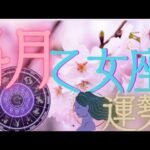 乙女座♍️【4月運勢🔮✨】埋もれている自分の才能が開花!?✨力まず新たな出発の方も軽やかに行ってみて🥰♪