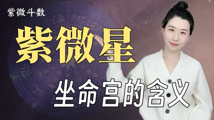 紫微星曜｜紫微星入命宮，註定不平凡？｜紫微星坐命的含義｜新手小白也能聽懂的紫微斗數