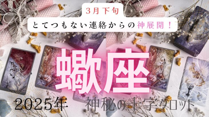 【とてつもない連絡からの神展開❗️】蠍座2025年神秘の十字タロット占い　#タロット#占い#タロットカード#運勢#星座#サソリ座