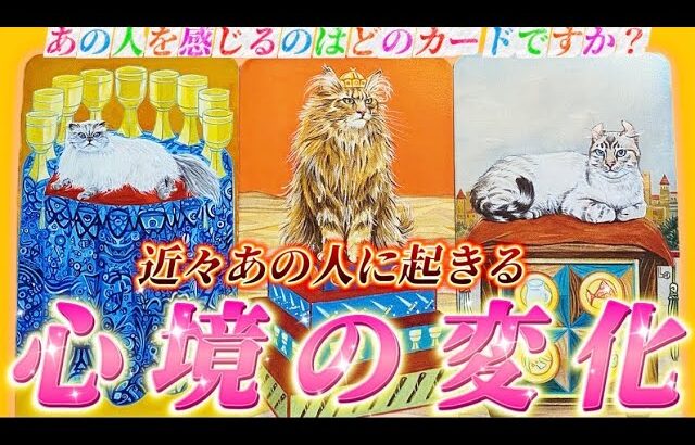 【驚きの大展開‼️】あの人の気持ち🩷ここから変わります✨3ヶ月以内に起きること　あの人の正直なあなたへの思い💕　個人鑑定級　タロット占い