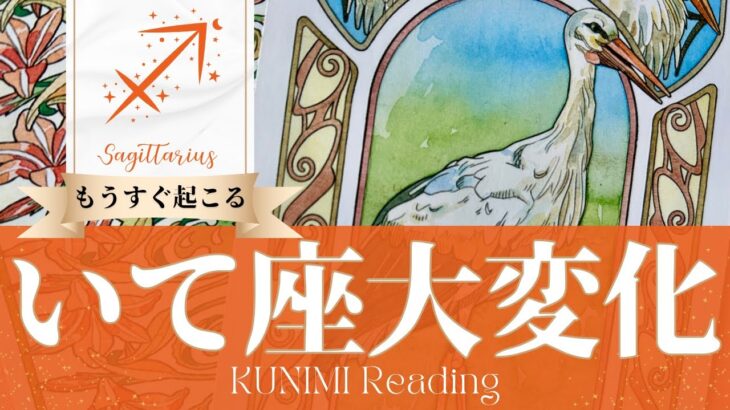 射手座♐望む方向へ人間関係が大変化🕊️もうすぐ起こる嬉しい大変化🕊️どんな大変化？🕊️いつ頃？🌝月星座いて座さんも🌟タロットルノルマンオラクルカード