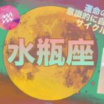 【3月前半✴︎水瓶座】人との関わり、コミュニケーションや会話がミソ！自分の目標をより具体的にしていくと引き寄せていける◎【2025】