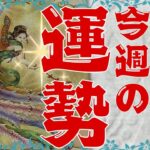 ♒️水瓶座さん特化型🌷今週の運勢＊2025＊3/3〜9日＊reading＆talk🌷