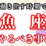 今がチャンス！魚座の方々の今後の運勢と特徴【１２星座占いランキング】