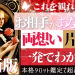 【最新版🌹タロット】お相手様と両思いかどうか、ハッキリ出ます【辛口あり♦︎忖度一切なし♦︎有料鑑定級♦︎】