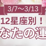 【今週の運勢は？】3/7～3/13 12星座 運勢鑑定付！【開運占い師と振り返る1週間】最近あった良いこと、嬉しいこと教えて～！