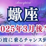 【蠍座】2025年3月後半♏変化の波に乗るチャンス到来！🌊未知の世界へ踏み出す勇気が未来を拓く！さそり座さんの運勢・占い